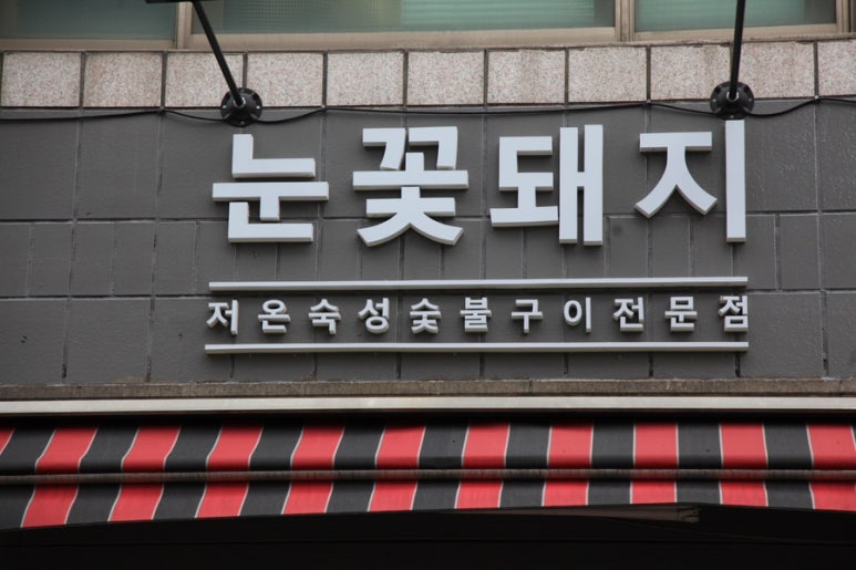 눈꽃돼지 이미지