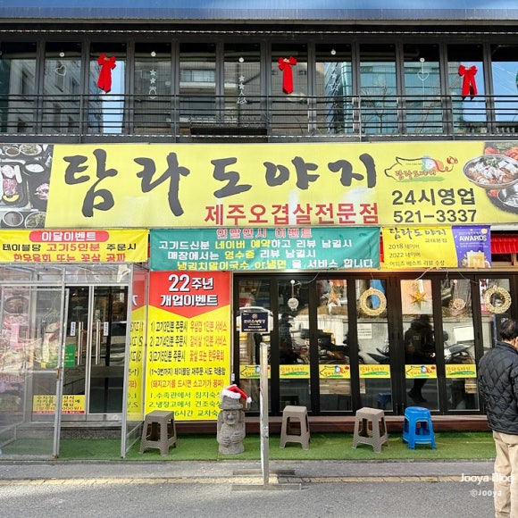탐라도야지 이미지