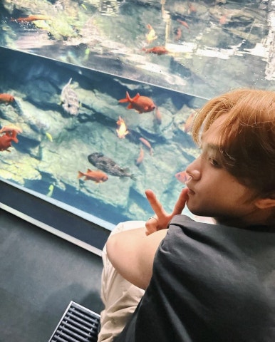 코레 이미지