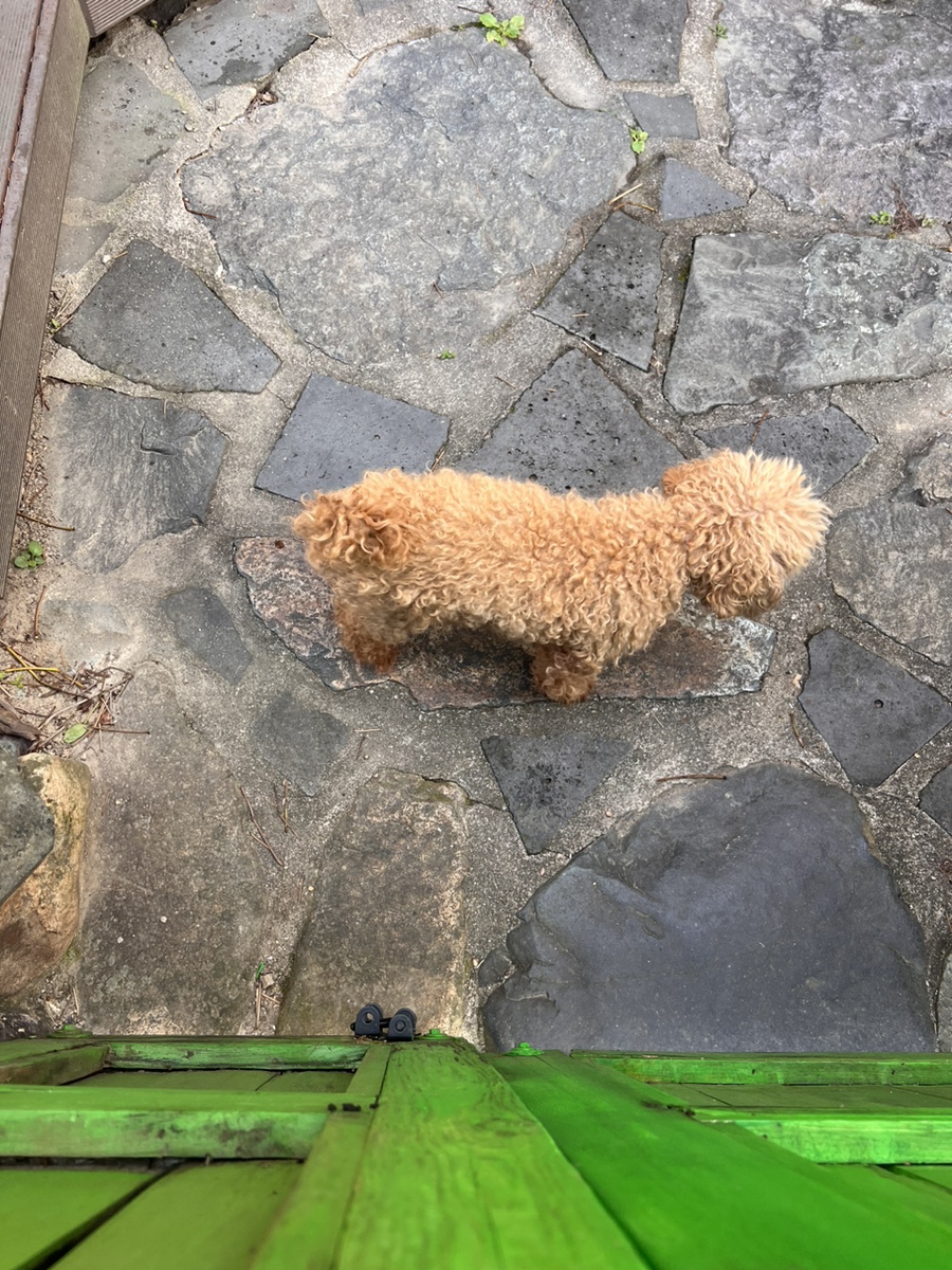 굿모닝토토 이미지
