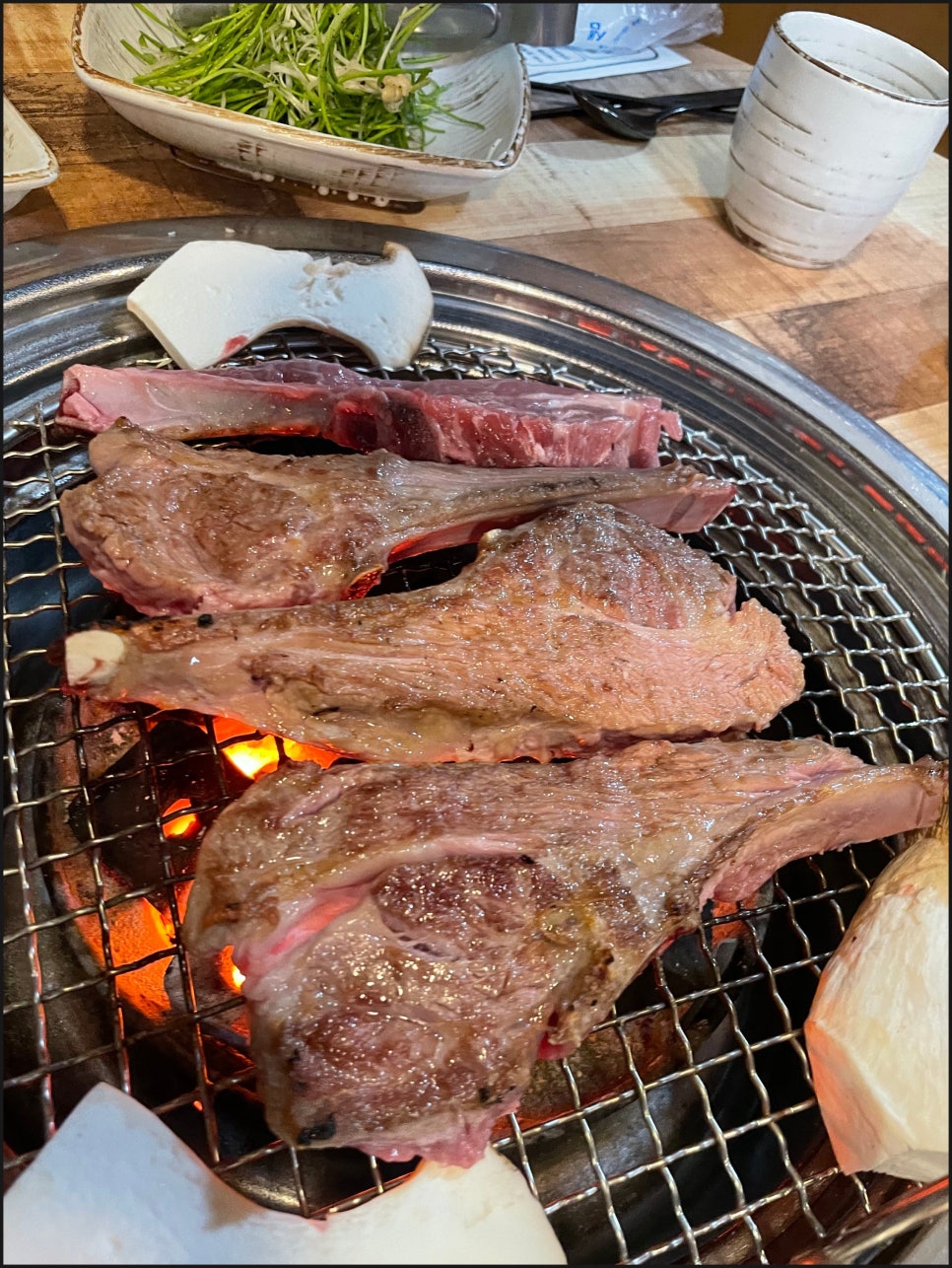 고기의기억 이미지