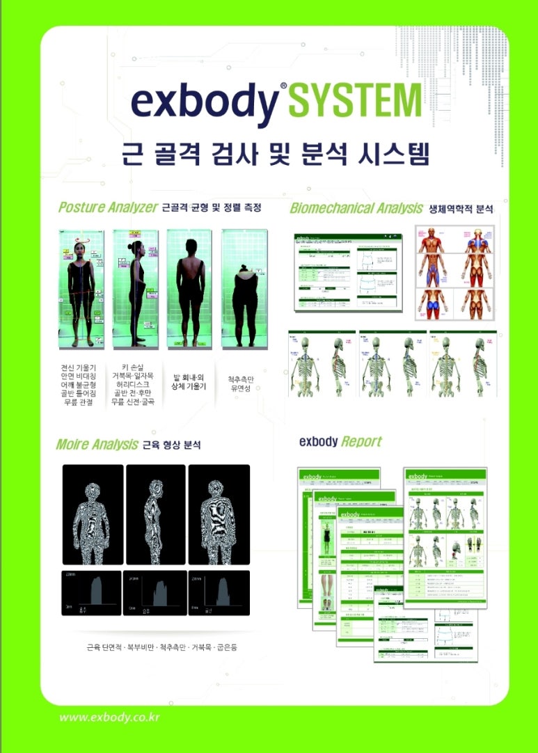 드래곤시스템 이미지