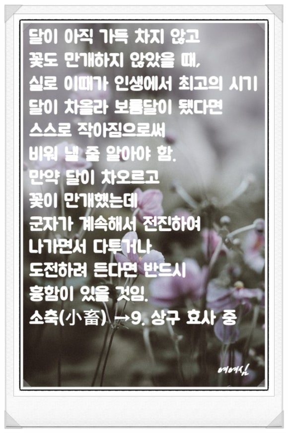부효사 이미지