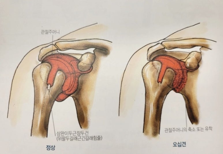 팀스톤짐 이미지