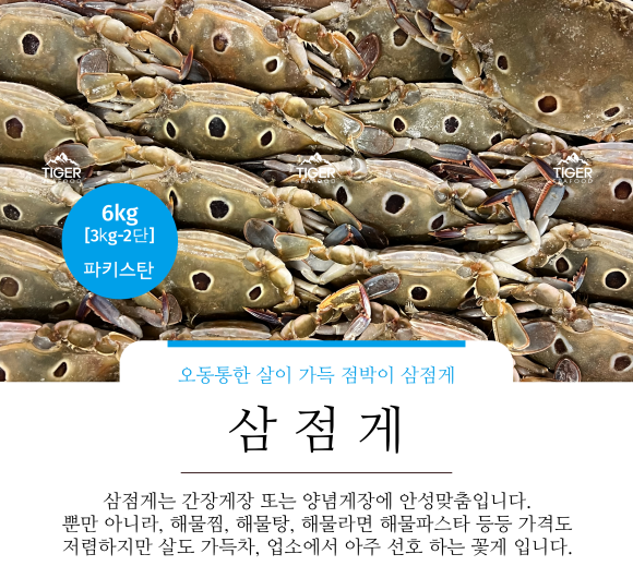 주식회사 타이거 이미지