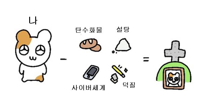 보드스토리 공릉점 이미지