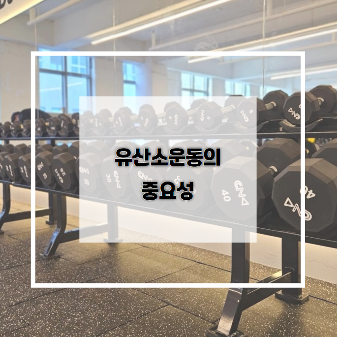 보람휘트니스 이미지