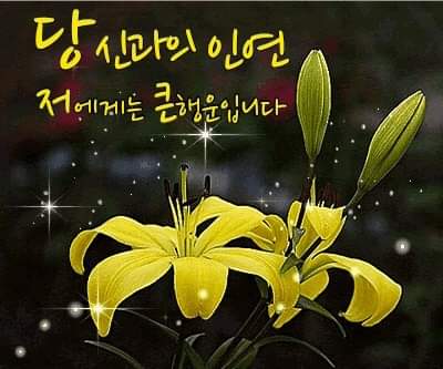 우주전기 이미지