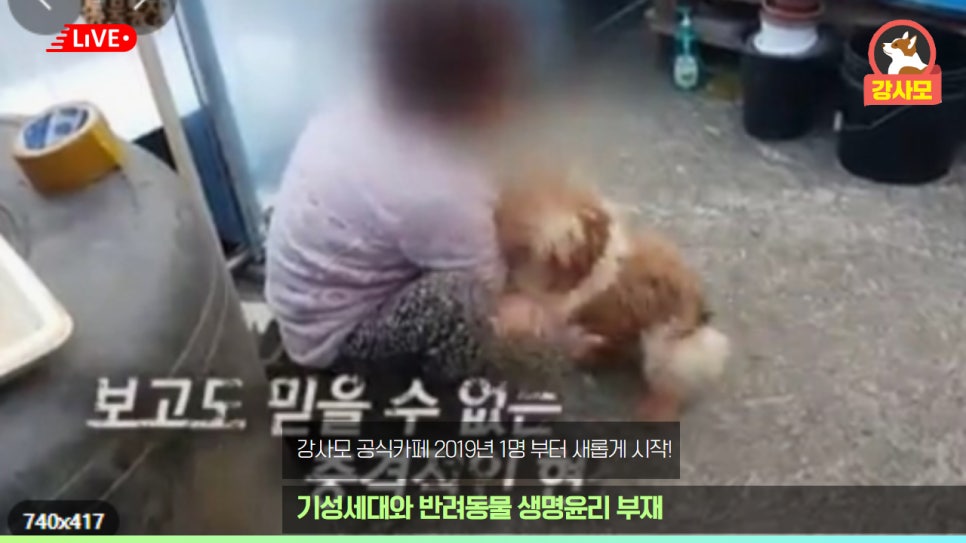 철장커뮤니티 이미지
