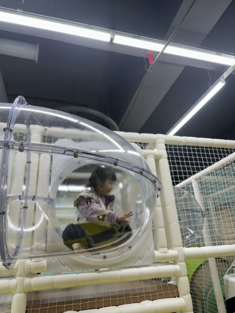 가리왕산 케이블카 키즈카페 이미지