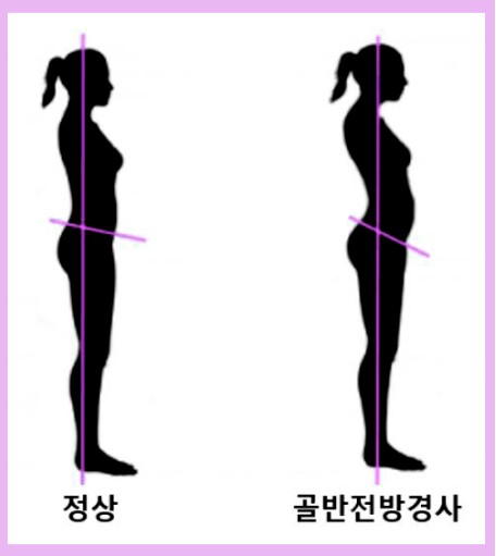 해피짐휘트니스 이미지