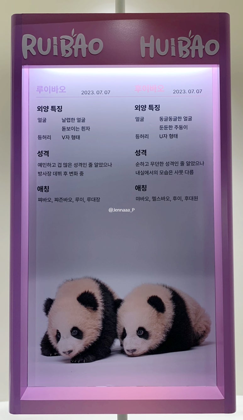젠바오 이미지