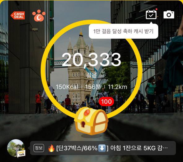 비조카 이미지