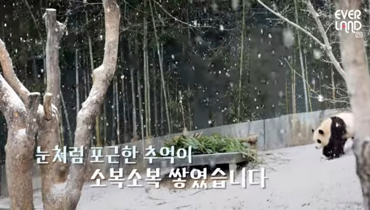 초ㅠ 이미지