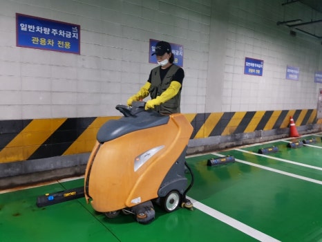청소쟁이 이미지
