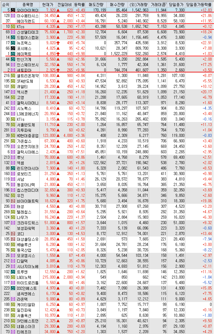 화인칩스 이미지