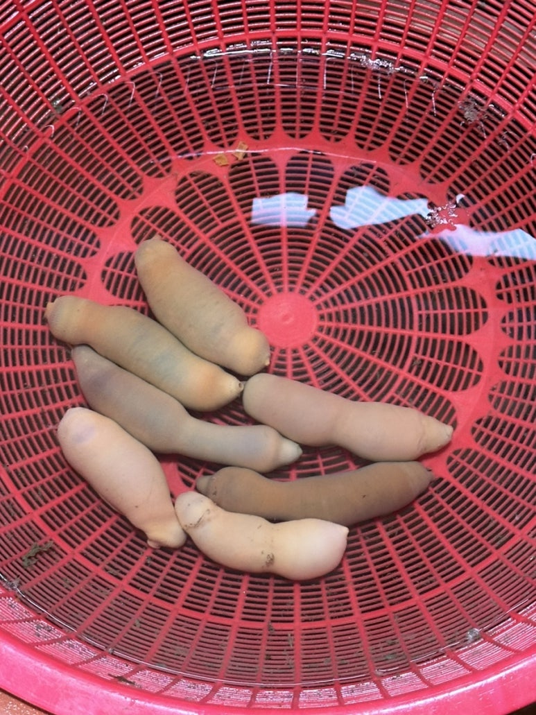 강바다횟집 이미지