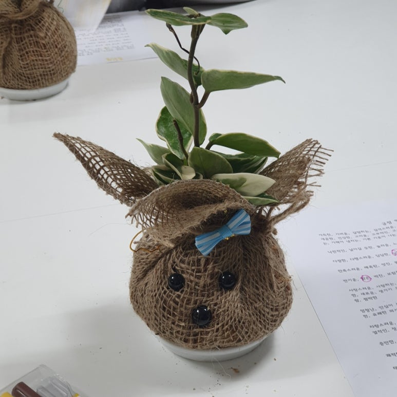 새마음플라워 이미지