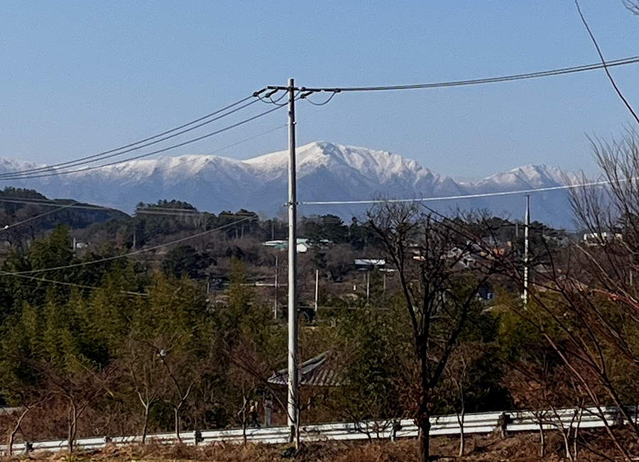 핸즈커피선바위점 이미지