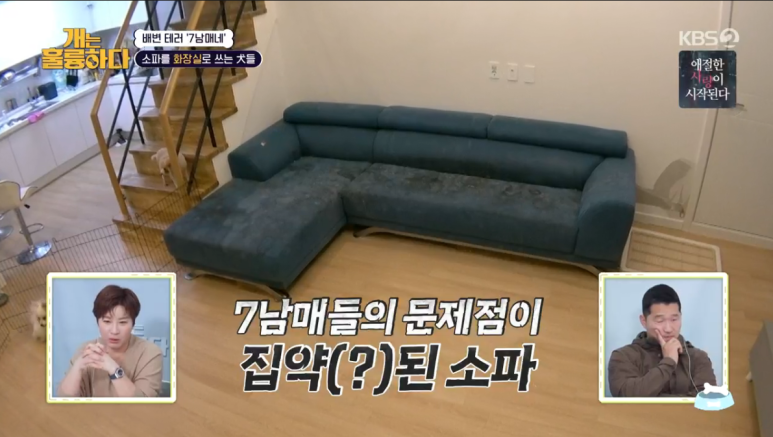 제일쇼파 이미지