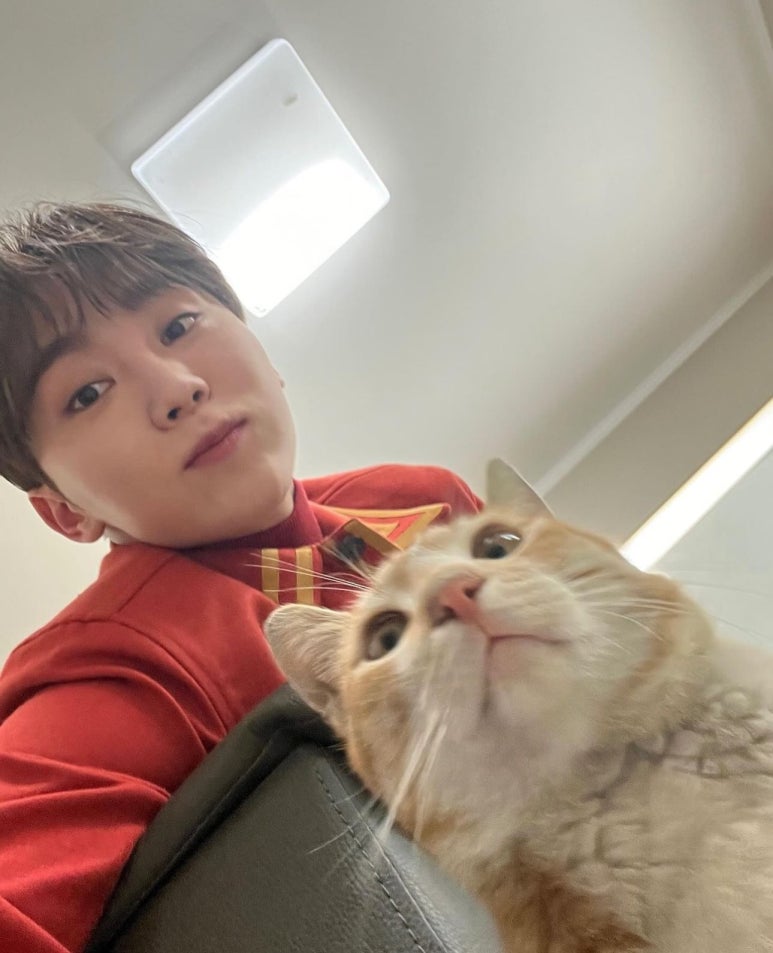 살루떼 이미지