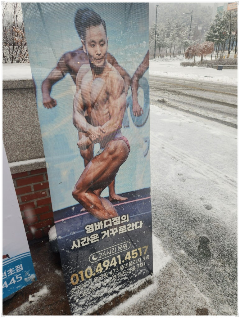 와이바디짐 이미지