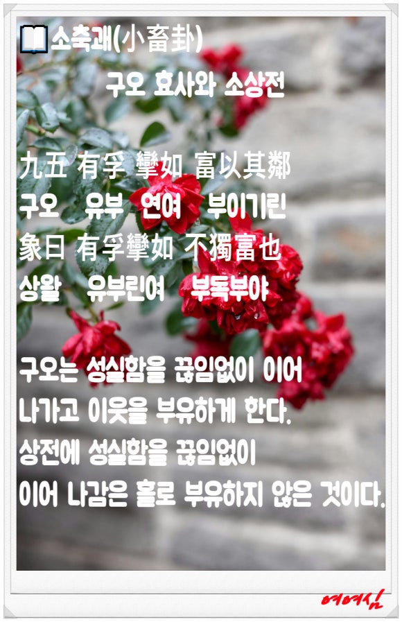 부효사 이미지