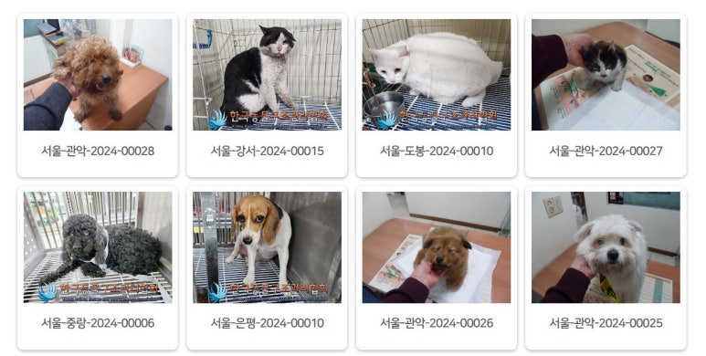 포인사이트 이미지