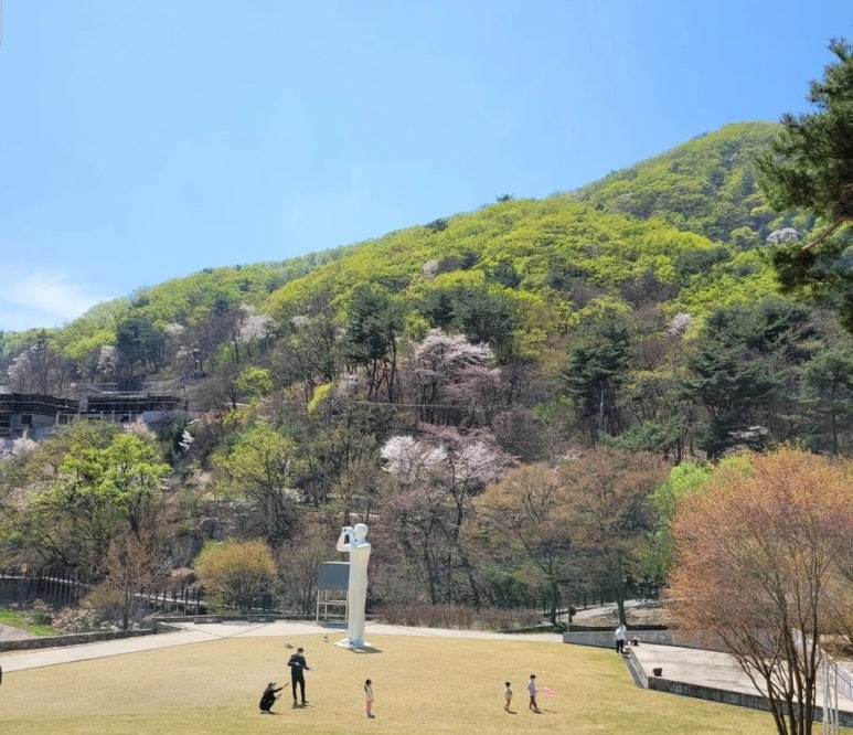 찻집 순수 이미지