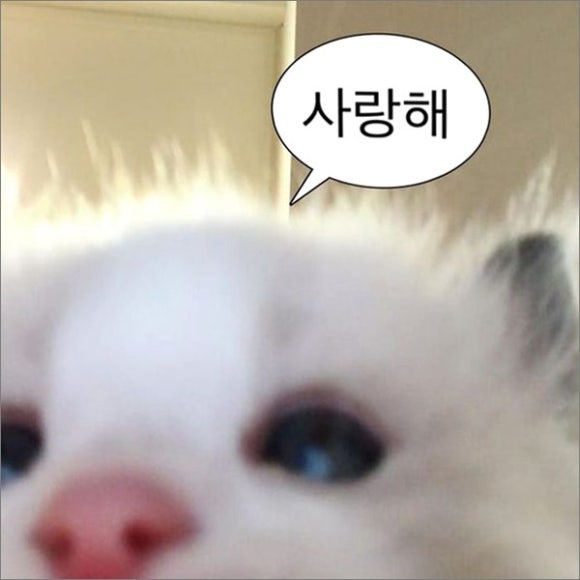 카페멜로소 이미지