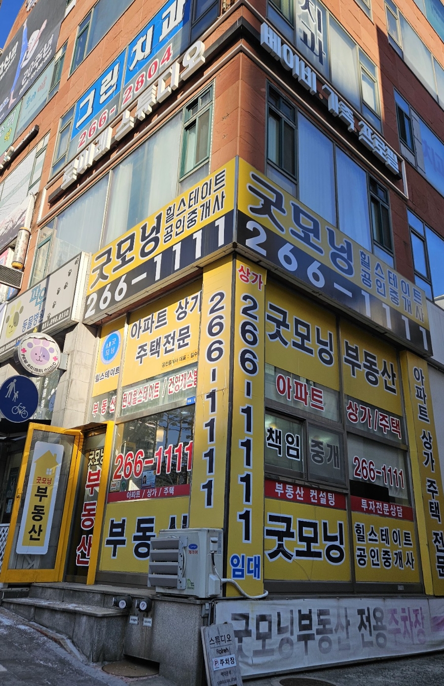 로이레스튜디오 이미지