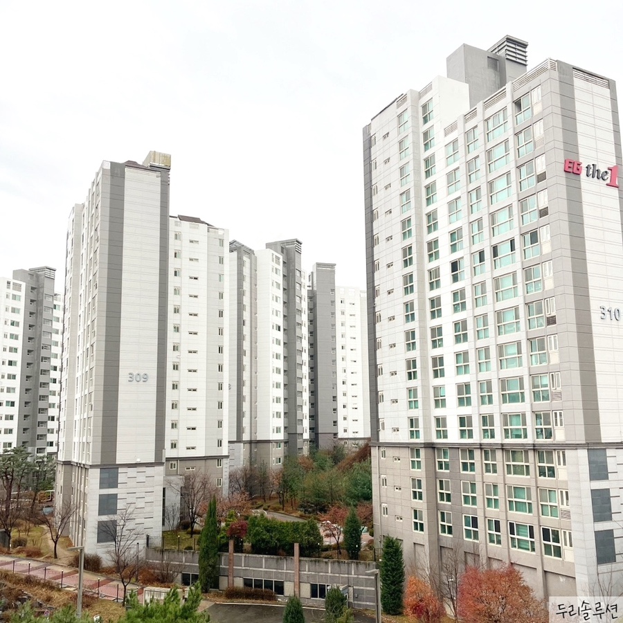 두리솔루션주 이미지