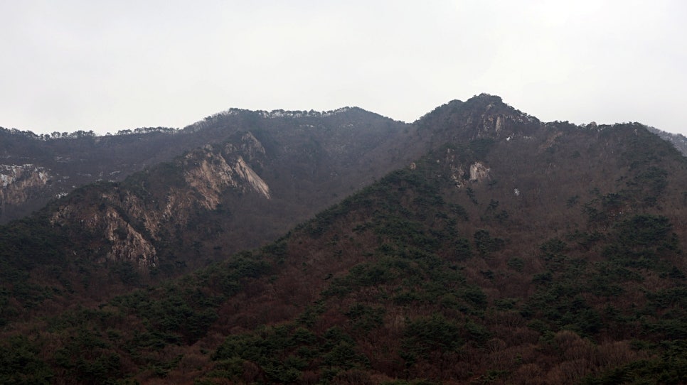 스테이산하 이미지