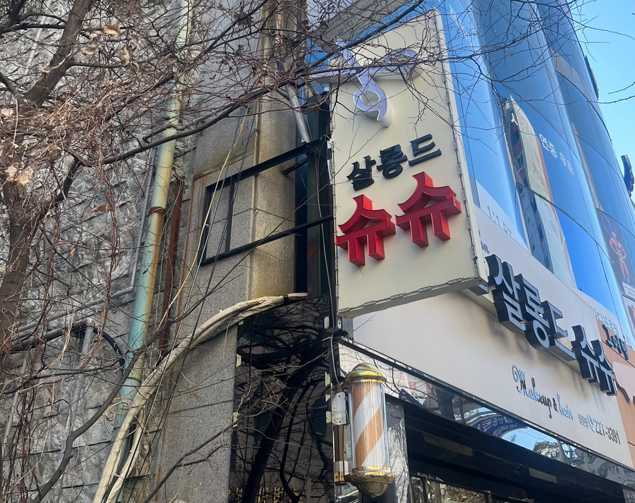 살롱드슈슈 이미지
