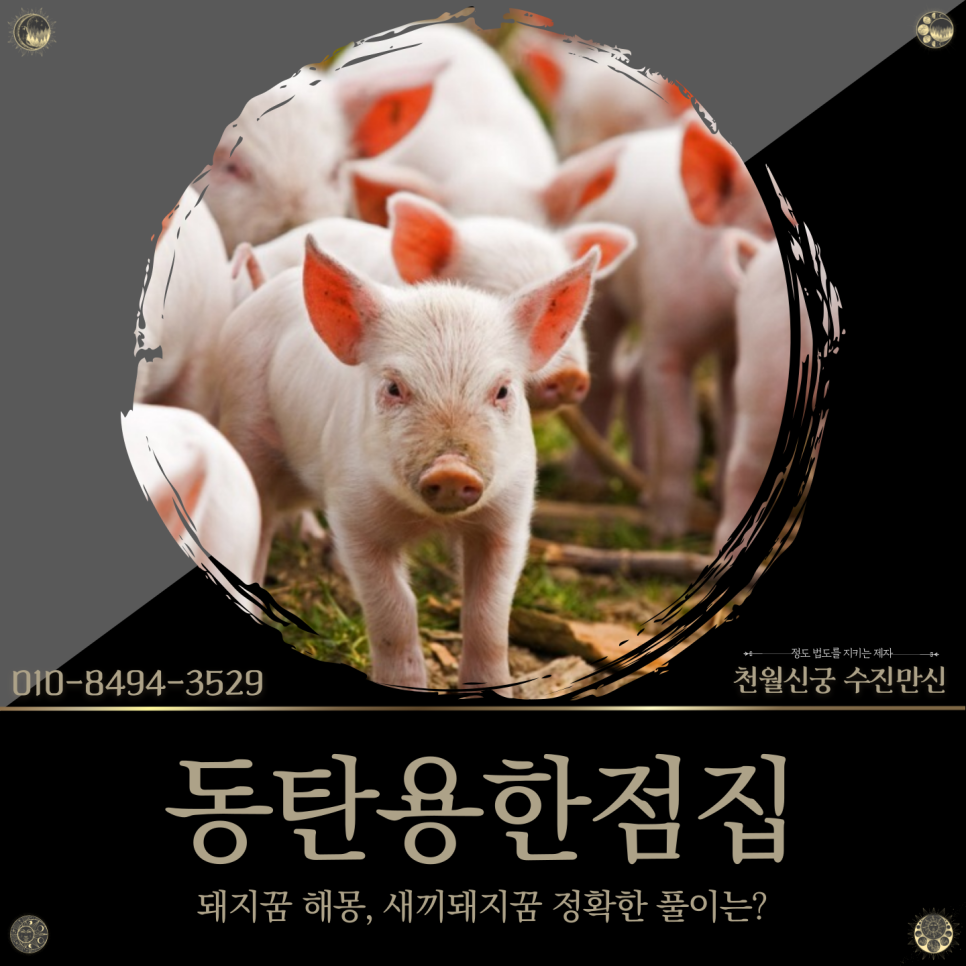넝쿨복권 이미지