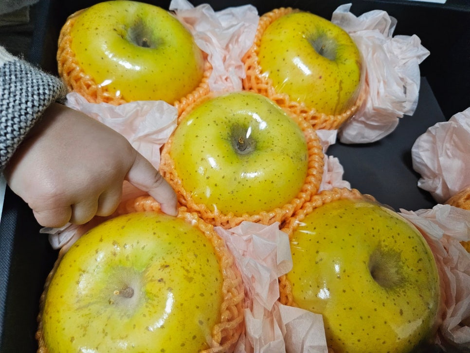 잇츠팡 이미지