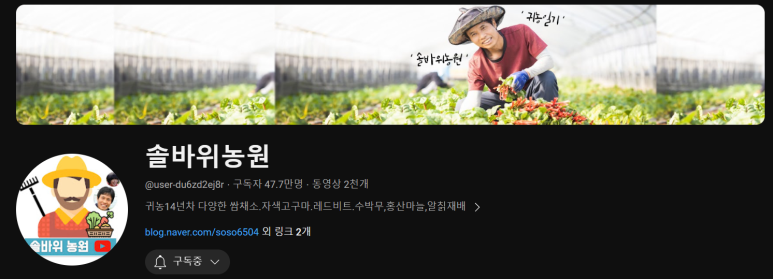 씨에이치모터스 이미지