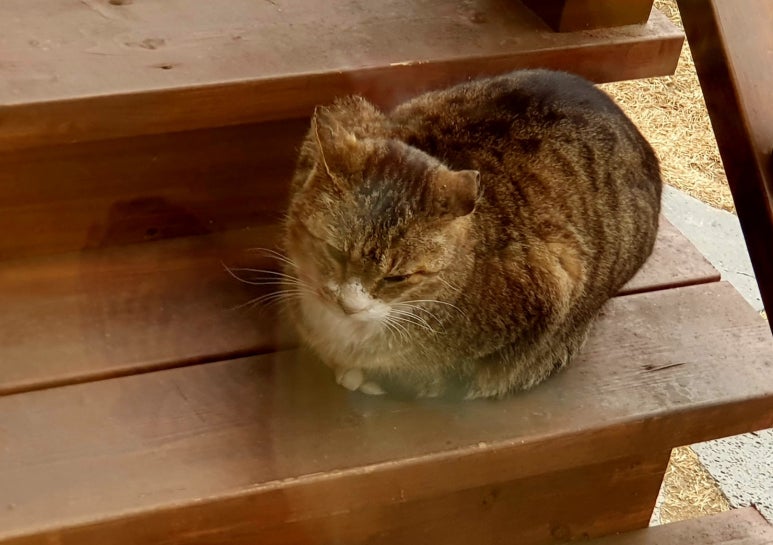 카페별산대 이미지