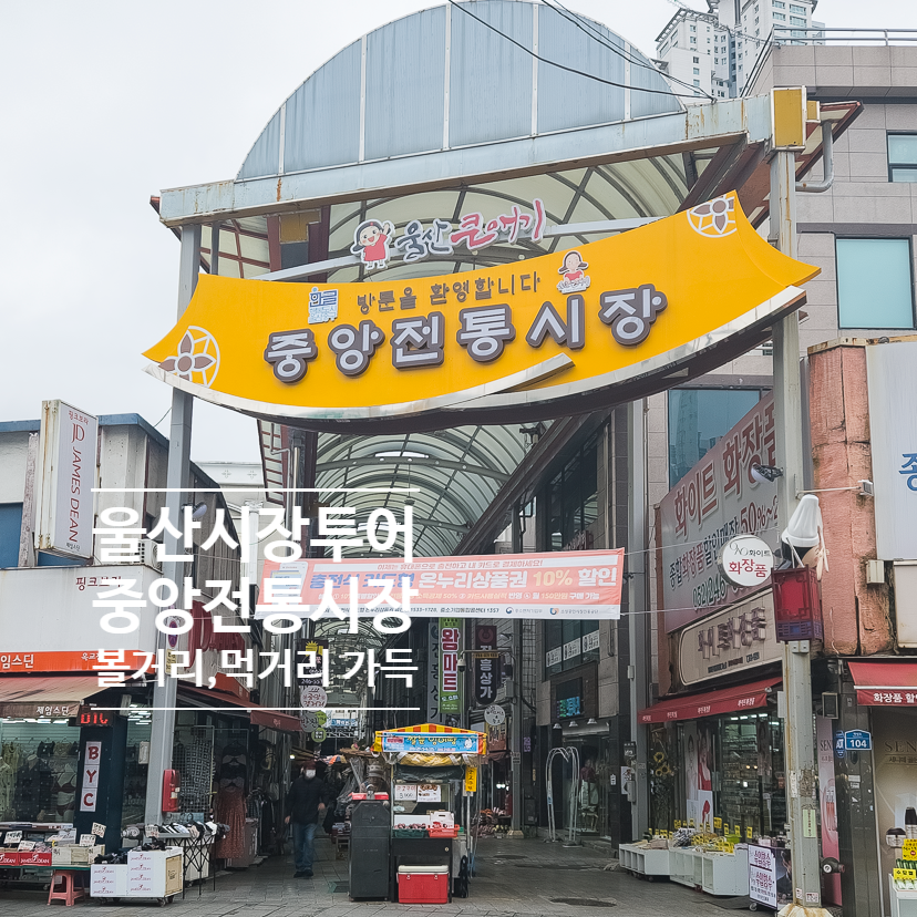 현대포목 이미지