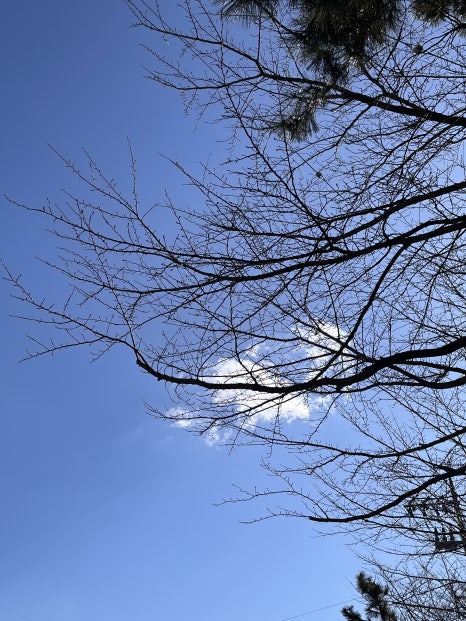 정직유부자은점 이미지
