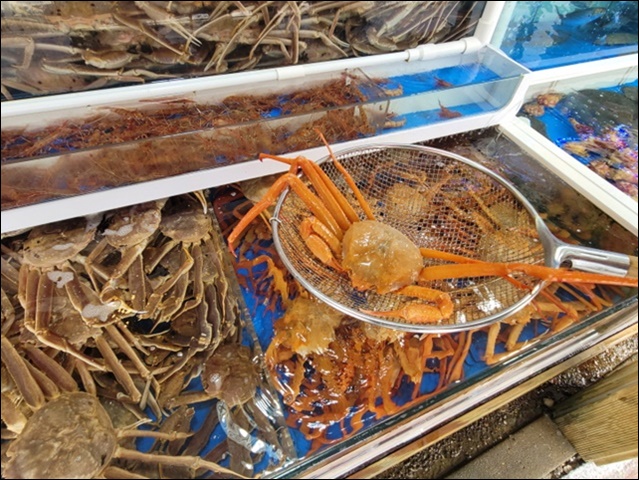 팔팔회센타 이미지