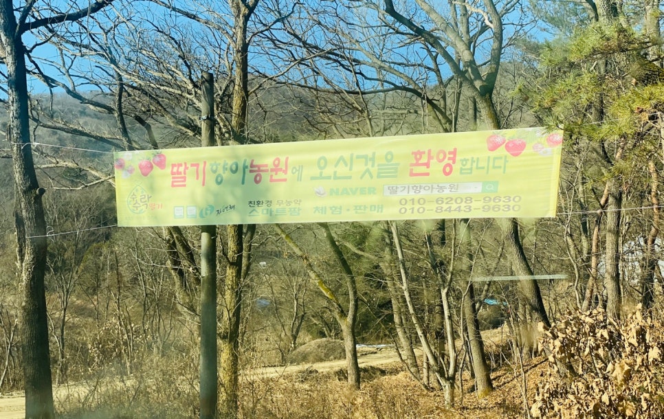 향아농원 이미지