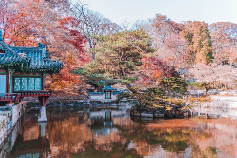 한고집 이미지