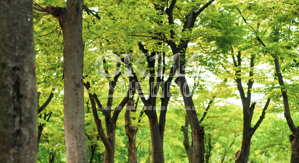 무궁화꽃화원 이미지