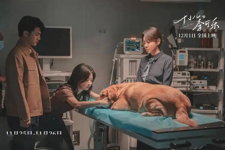 이가락 이미지