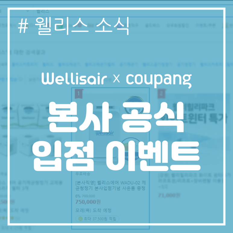 웰리스에어 이미지