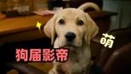 이가락 이미지