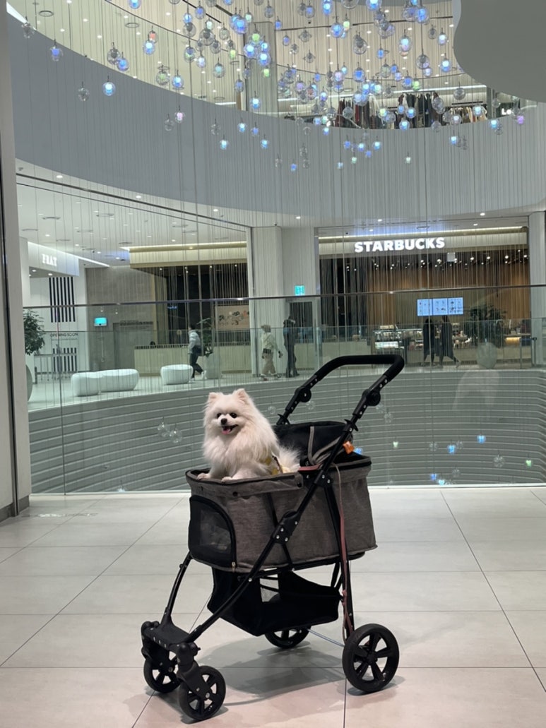 잇츠돈동 이미지