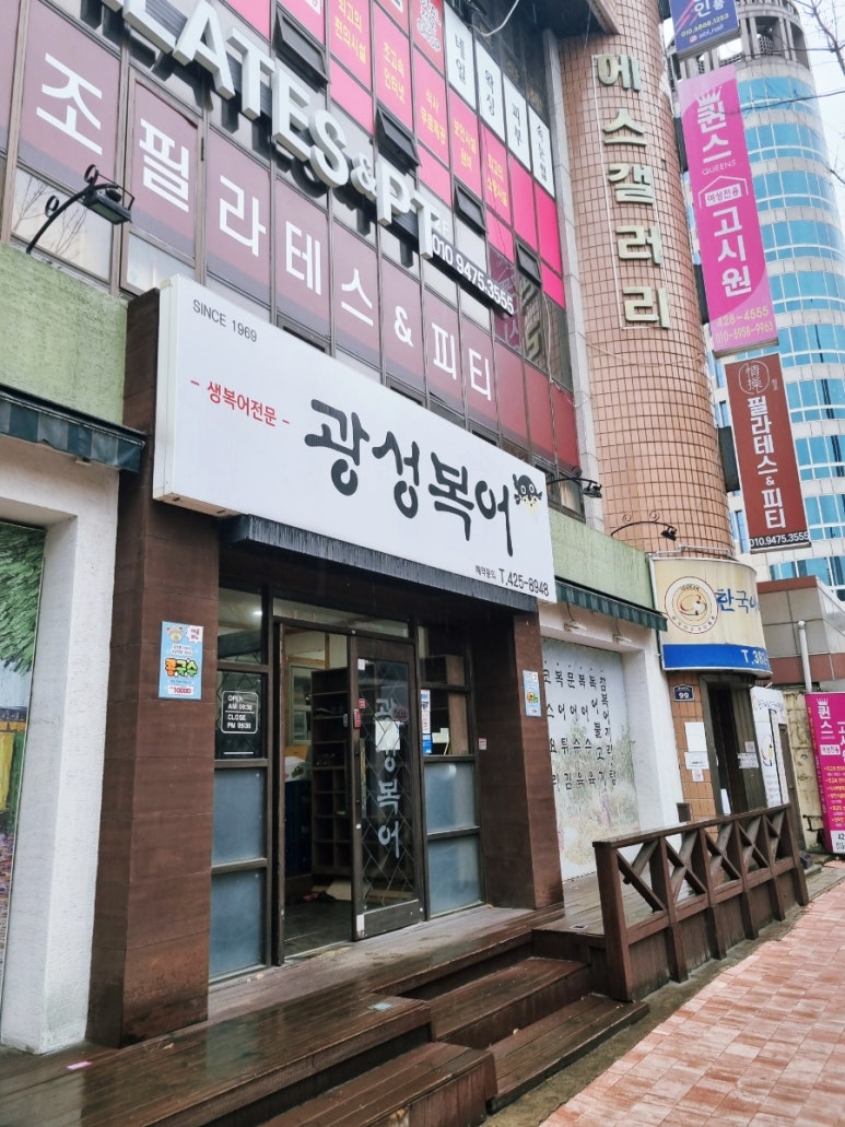 광성복어 이미지