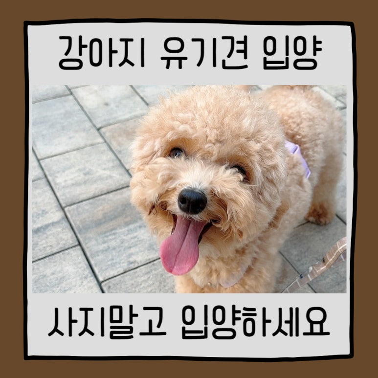 포인사이트 이미지